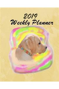 Weekly Planner 2019