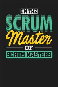I'm the Scrum Master of Scrum Masters