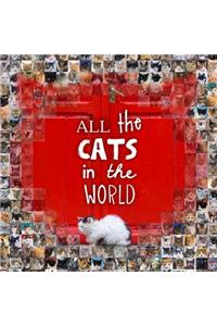 All the Cats in the World