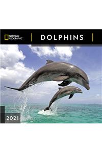 Cal 2021- National Geographic Dolphins Wall