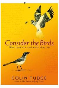Consider the Birds: Who They are and What They Do