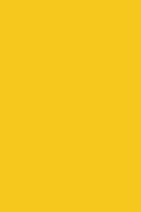 Sunflower Yellow 190 - Graph Notebook