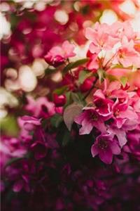 Flowers Journal