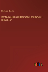 tausendjährige Rosenstock am Dome zu Hildesheim
