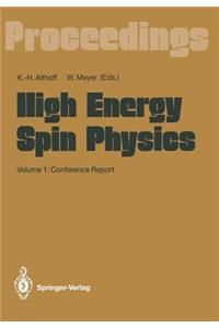 High Energy Spin Physics