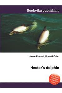 Hector's Dolphin