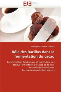 R�le Des Bacillus Dans La Fermentation Du Cacao