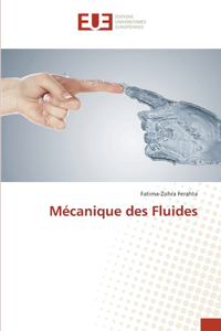 Mécanique des Fluides
