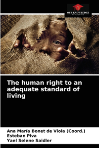 human right to an adequate standard of living