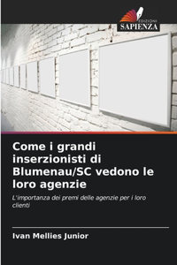 Come i grandi inserzionisti di Blumenau/SC vedono le loro agenzie
