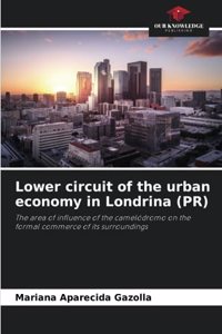Lower circuit of the urban economy in Londrina (PR)