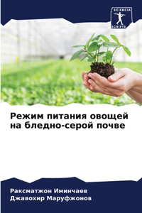 Режим питания овощей на бледно-серой почвk