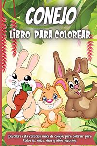 Conejo Libro Para Colorear