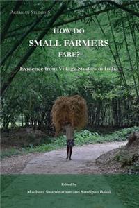 How Do Small Farmers Fare?