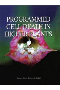 Programmed Cell Death in Higher Plants