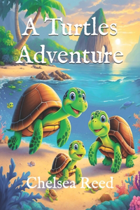 Turtles Adventure