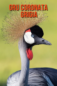 Gru coronata grigia