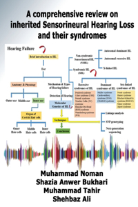 comprehensive review on inherited Sensorineural Hearing Loss and their syndromes