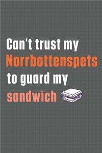 Can't trust my Norrbottenspets to guard my sandwich
