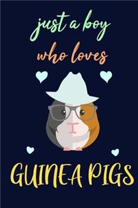 just a boy who loves guinea pigs journal - notebook for guinea pig lovers - birthday gift for hamster lovers