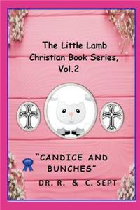 Little Lamb Christians Book Series
