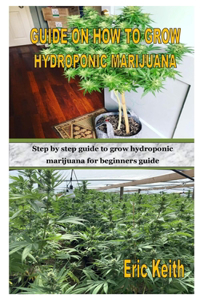 Guide on How to Grow Hydroponic Marijuana