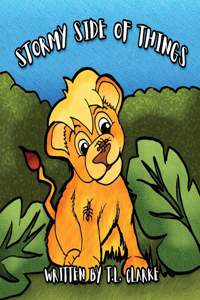 Stormy Side of Things