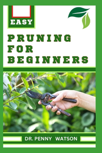 Pruning for Beginners