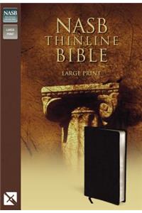 Thinline Bible-NASB-Large Print