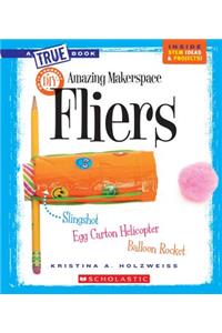 Amazing Makerspace DIY Fliers (a True Book: Makerspace Projects)
