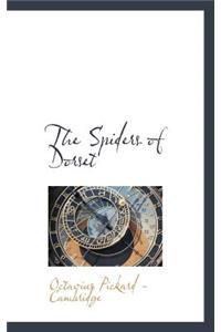 Spiders of Dorset