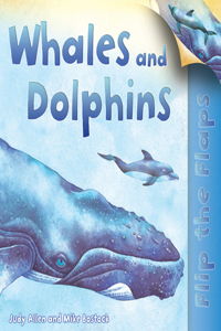 Whales and Dolphins