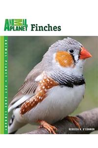 Finches