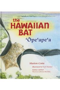 Hawaiian Bat