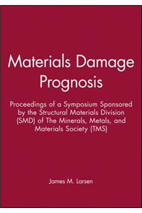 Materials Damage Prognosis