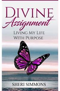 Divine Assignment