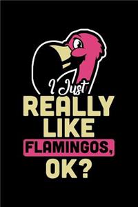 I Just Really Like Flamingos, Ok