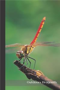 Outdoors Dragonfly