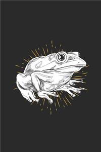 Frog Drawing