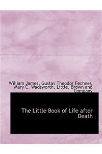 The Little Book of Life After Death