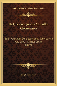 De Quelques Juncus A Feuilles Cloissonnees