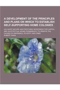 A Development of the Principles and Plans on Which to Establish Self-Supporting Home Colonies; As a Most Secure and Profitable Investment for Capita