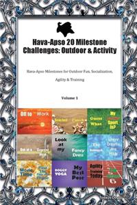 Hava-Apso 20 Milestone Challenges