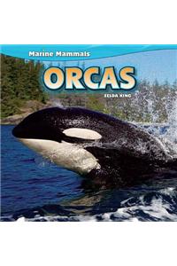 Orcas