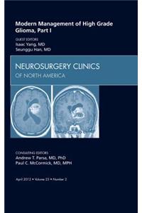 Modern Management of High Grade Glioma, Part I, An Issue of Neurosurgery Clinics
