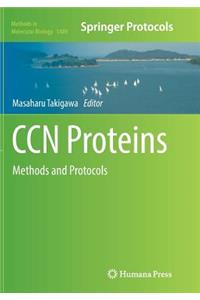 Ccn Proteins