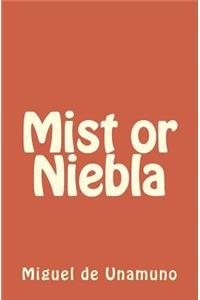 Mist or Niebla