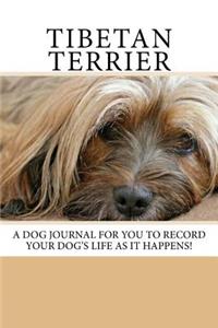 Tibetan Terrier