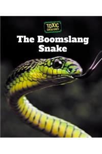 The Boomslang Snake