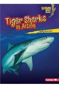 Tiger Sharks in Action